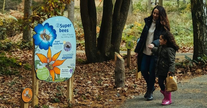 woman and girl in forest following the Superworm activity trail